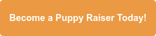 Become a Puppy Raiser Today!