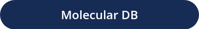 Molecular DB