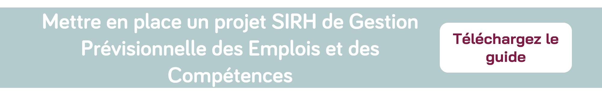 guide-gpec-sirh-rh
