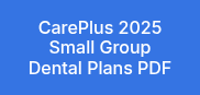 CarePlus 2025 Small Group Dental Plans PDF