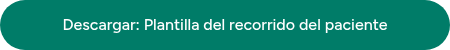 Descargar: Plantilla del recorrido del paciente