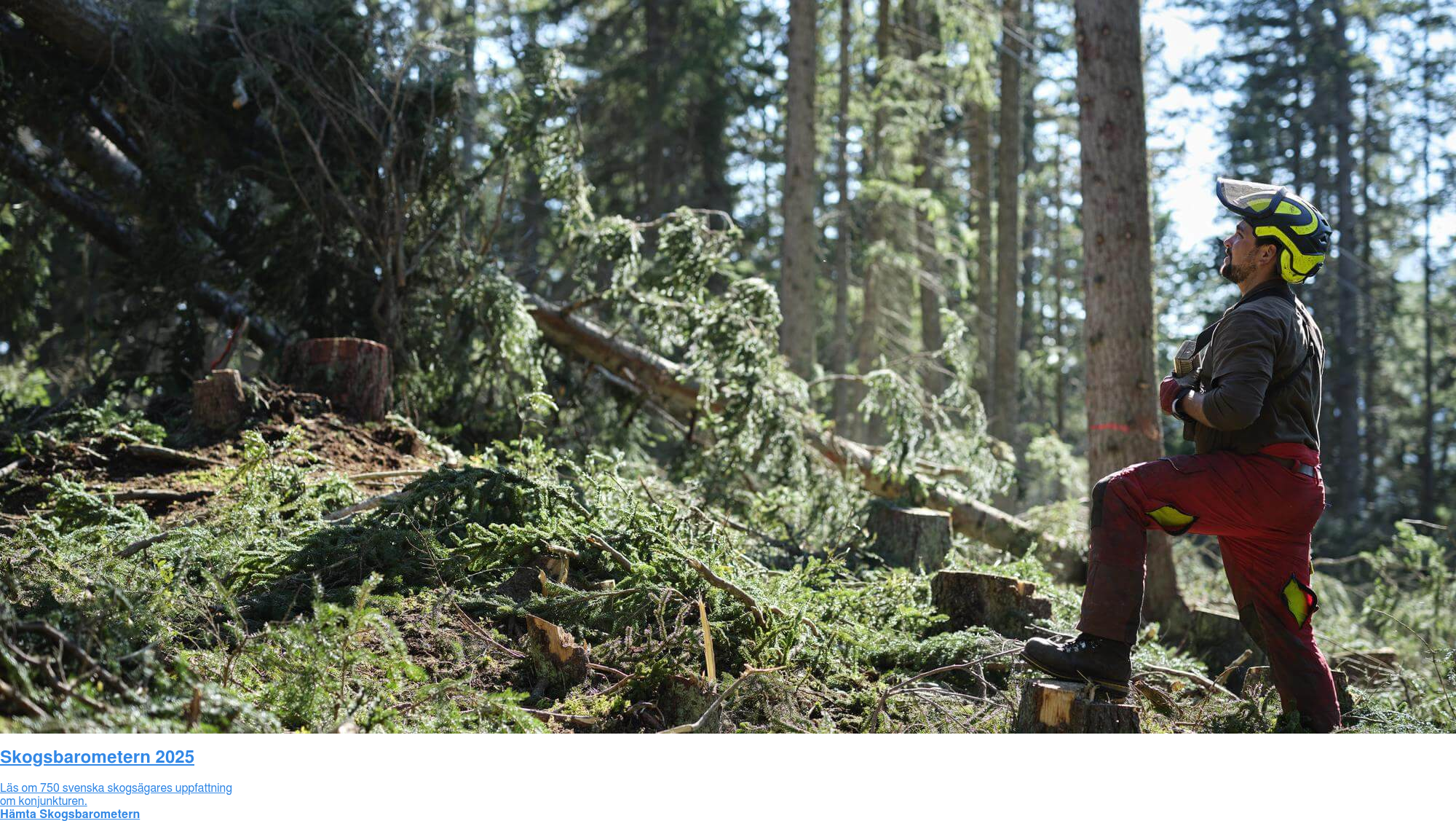 Skogsbarometern 2025  Läs om 750 svenska skogsägares uppfattning  om konjunkturen. Hämta Skogsbarometern
