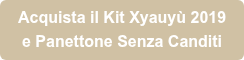 Acquista il Kit Xyauyù 2019 e Panettone Senza Canditi
