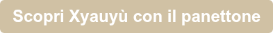 Scopri Xyauyù con il panettone