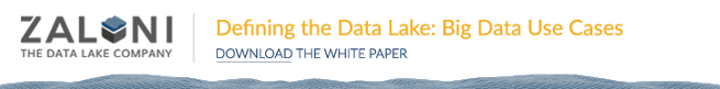 Defining the Data Lake White Paper banner