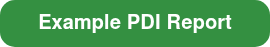 Example PDI Report