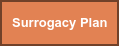 Surrogacy Plan