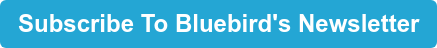 Subscribe To Bluebird's Newsletter