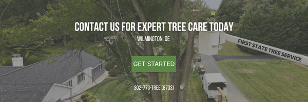FSTS Contact CTA