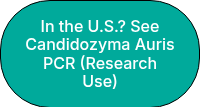 <p>In the U.S.? See Candidozyma Auris PCR (Research Use)</p>