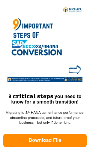 9 Steps of S4HANA Conversion-01-1