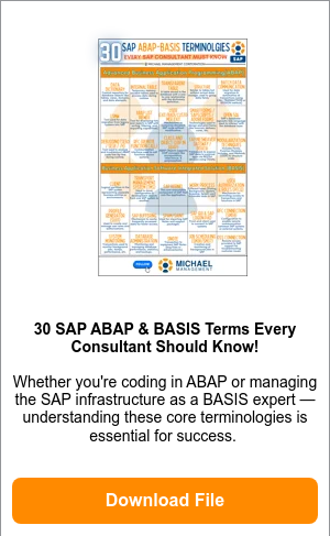 30 SAP ABAP BASIS TERMINOLOGIES June 5-1