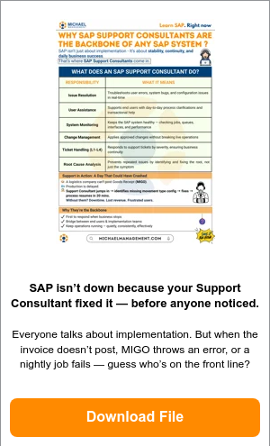 PNG - Why SAP Support Consultants Are the Backbone of Any SAP System