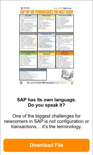 SAP Top 100 Terminologies You Must Know