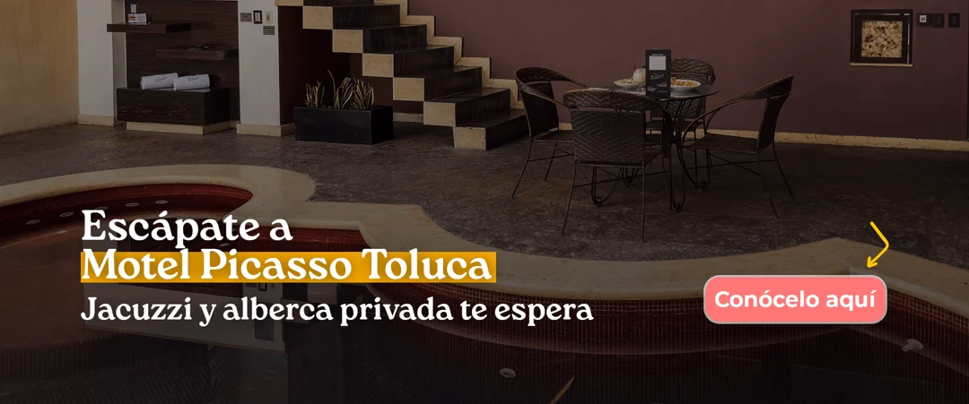 Banner Picasso Toluca