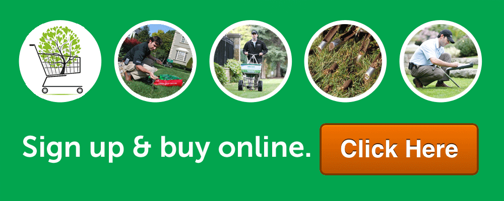 Nutri-Lawn Buy Online Banner CTA