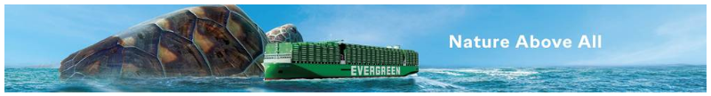 Evergreen Turtle Banner Sept24