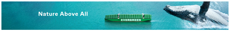 Evergreen Whale Banner Sept24