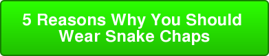 5 Reasons Why You Should Wear Snake Chaps