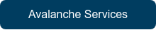 Avalanche Services