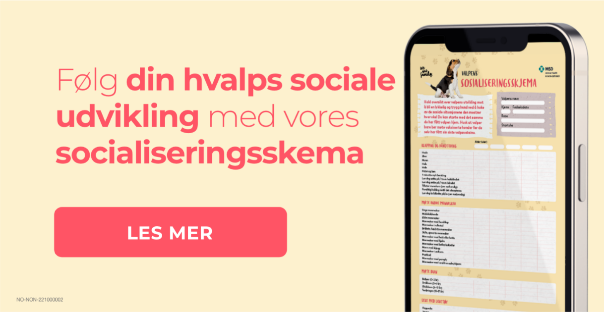 New call-to-action