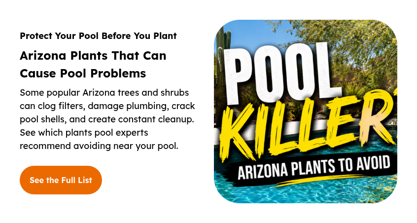Protect Your Pool Before You Plant Arizona Plants That Can Cause Pool Problems Some popular Arizona trees and shrubs can clog filters, damage plumbing, crack pool shells, and create constant cleanup. See which plants pool experts recommend avoiding near your pool.