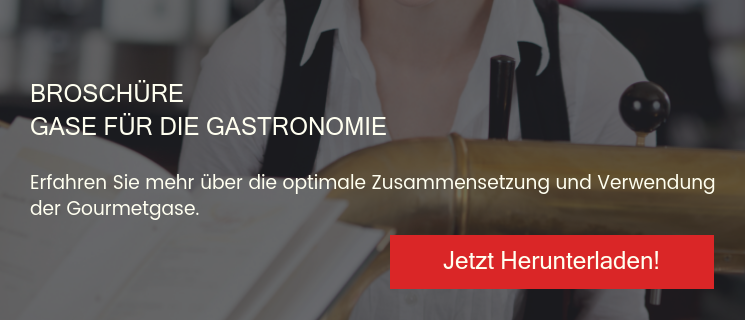 Broschüre Gase für die Gastronomie