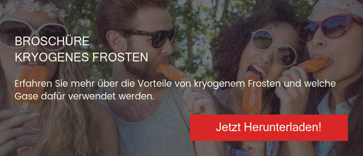 Broschüre Kryogenes Frosten