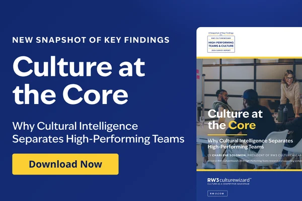 Snapshot 4 Culture at the core