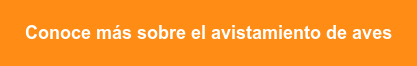Conoce más sobre el avistamiento de aves