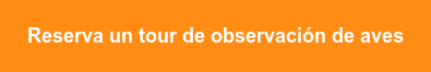 Reserva un tour de observación de aves