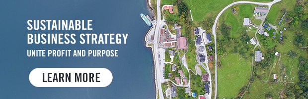 Sustainable Business Strategy