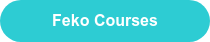 Feko Courses