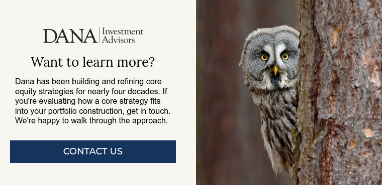 danainvestment web logo