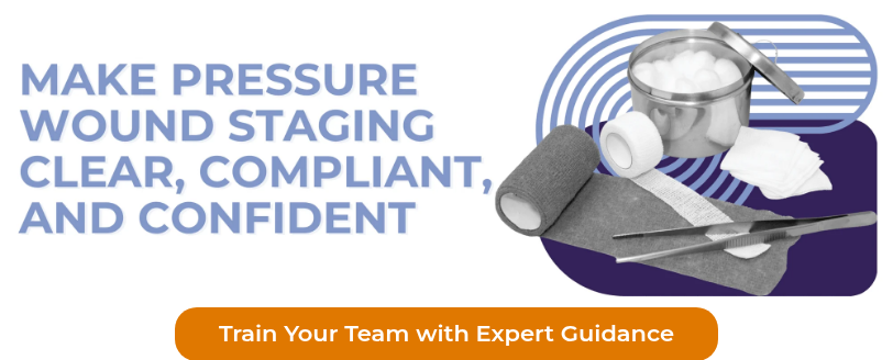 <p>Train Your Team with Expert Guidance</p>