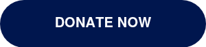 <div data-node="6127e2bdd52ac">
<div>
<h1>DONATE NOW</h1>
</div>
</div>