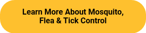 Learn More About Mosquito, Flea & Tick Control