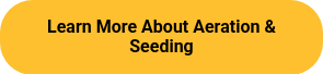 Learn More About Aeration & Seeding