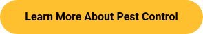 Learn More About Pest Control