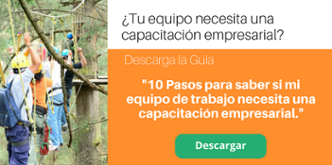 Descargar Guía