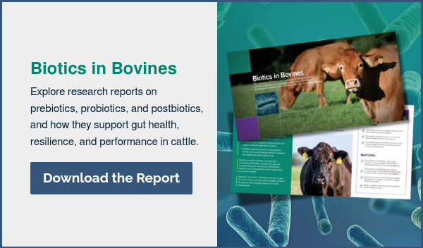 Biotics in Bovines&nbsp; Explore research reports on prebiotics, probiotics, and postbiotics, and how they support gut health, resilience, and performance in cattle. &nbsp;