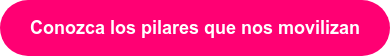 Conozca los pilares que nos movilizan