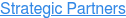 Strategic Partners