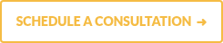 SCHEDULE A CONSULTATION &nbsp;➜