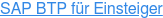 SAP BTP für Einsteiger