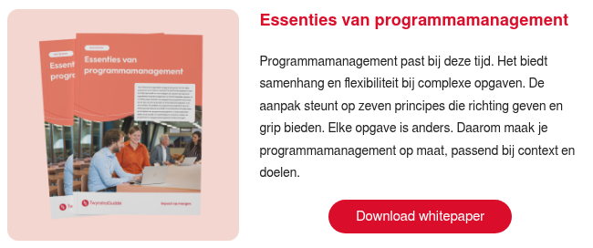 Essenties van programmamanagement