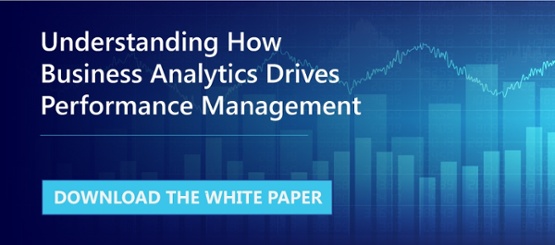 Business Analytics Drives Performance Management