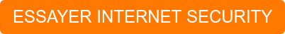 ESSAYER INTERNET SECURITY