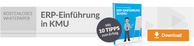 Whitepaper ERP-Einfuehrung