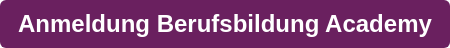 Anmeldung Berufsbildung Academy